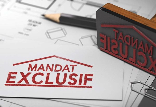 Faut-il donner un mandat exclusif à une agence immobilière de Lyon 2 ?