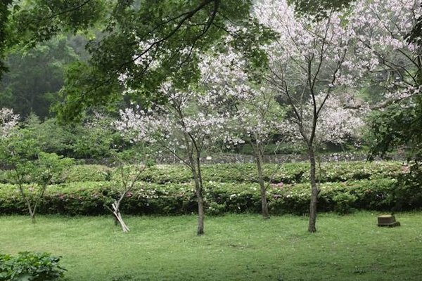 Quels sont les conseils pour vendre une parcelle dans un parc résidentiel de loisirs ?